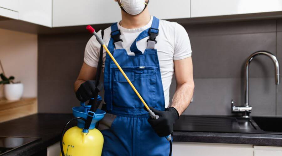 Why choose St. Paul Apartment Pest Control for apartment pest control in St. Paul